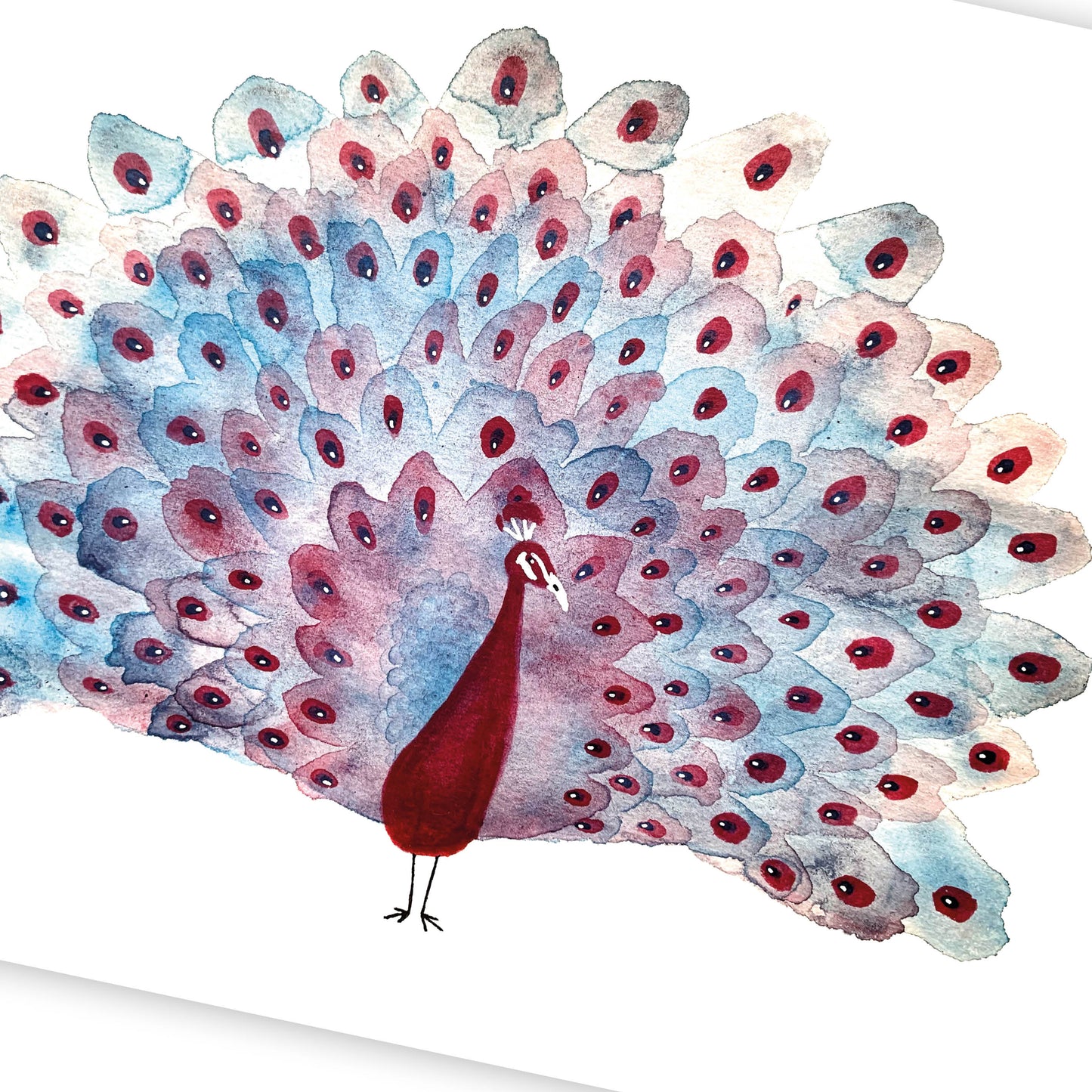 Paon multicolore / Aquarelle
