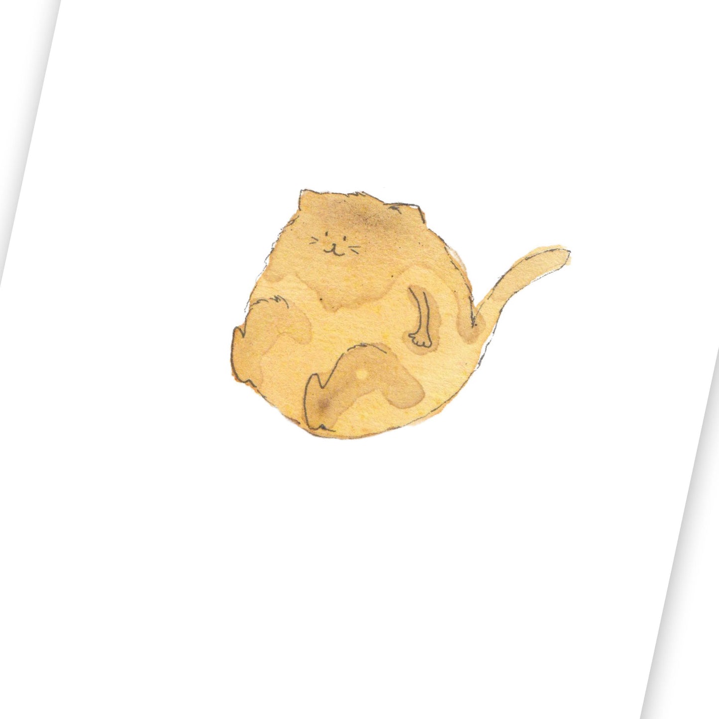 Chat (fin de série)