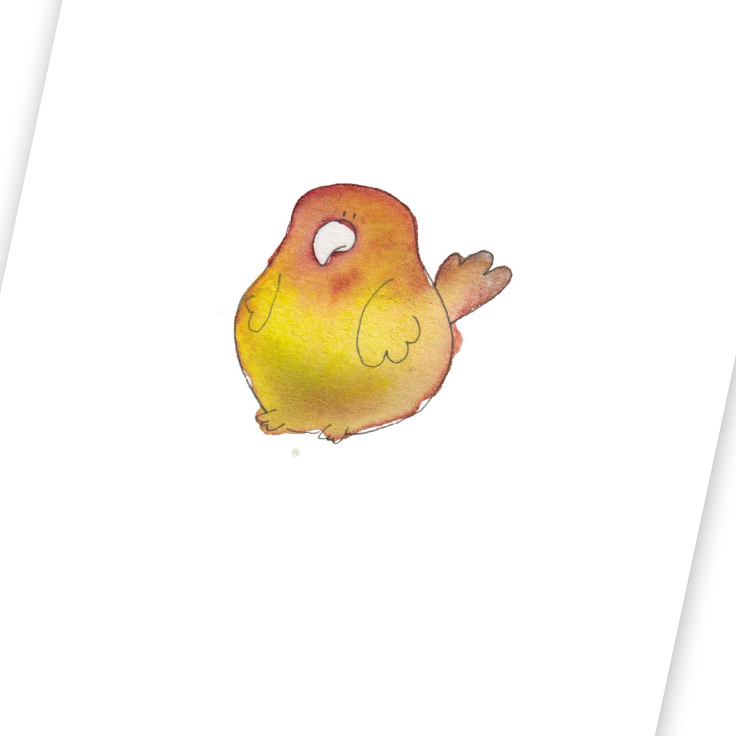 Perroquet (fin de série)