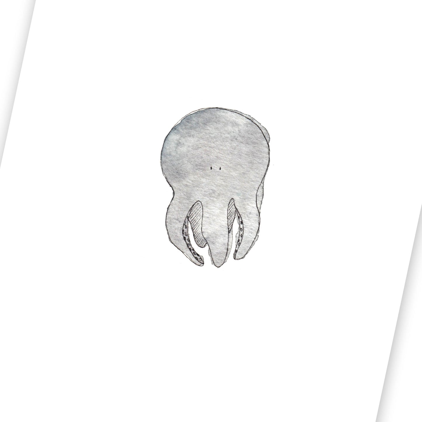 Poulpe (fin de série)