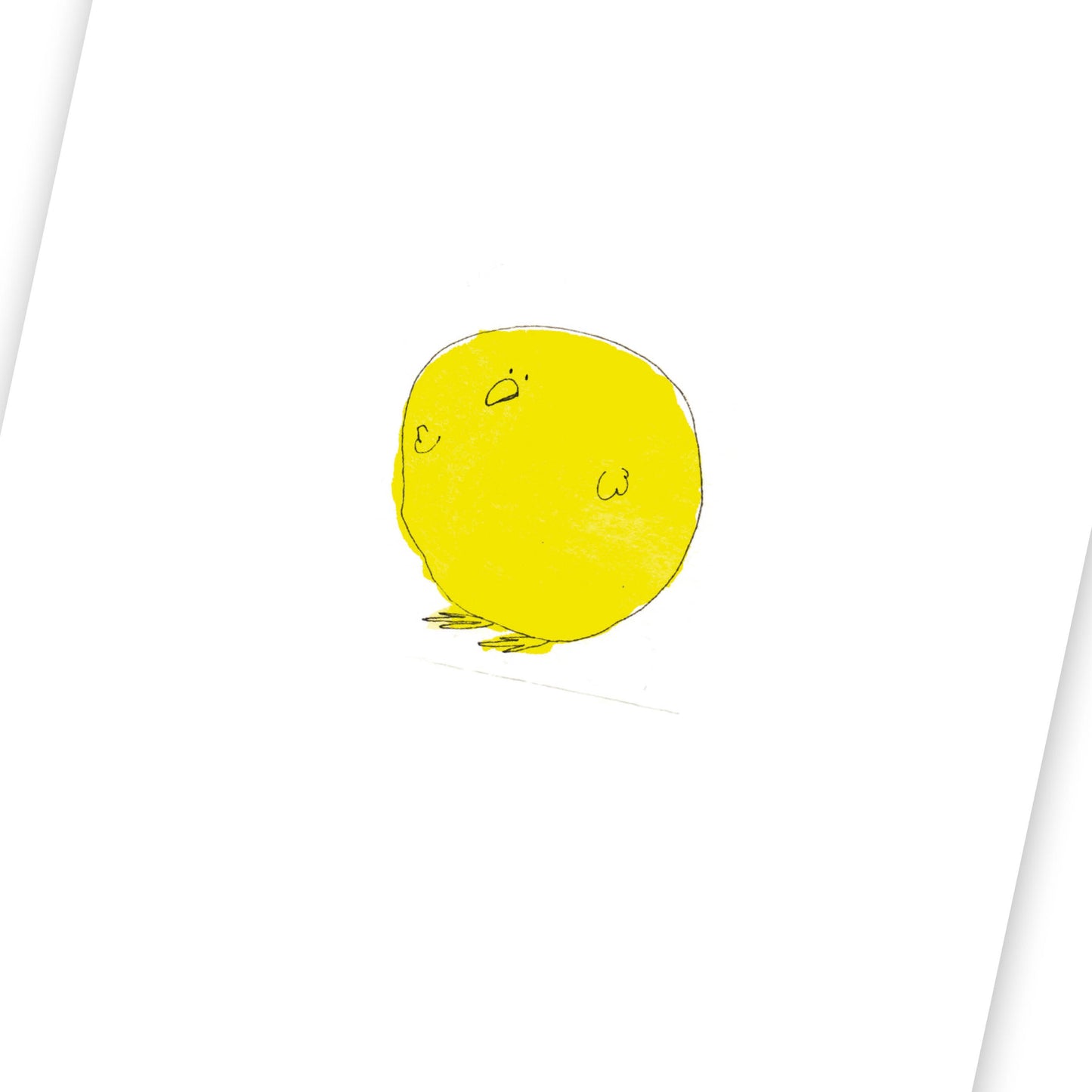 Poussin (fin de série)