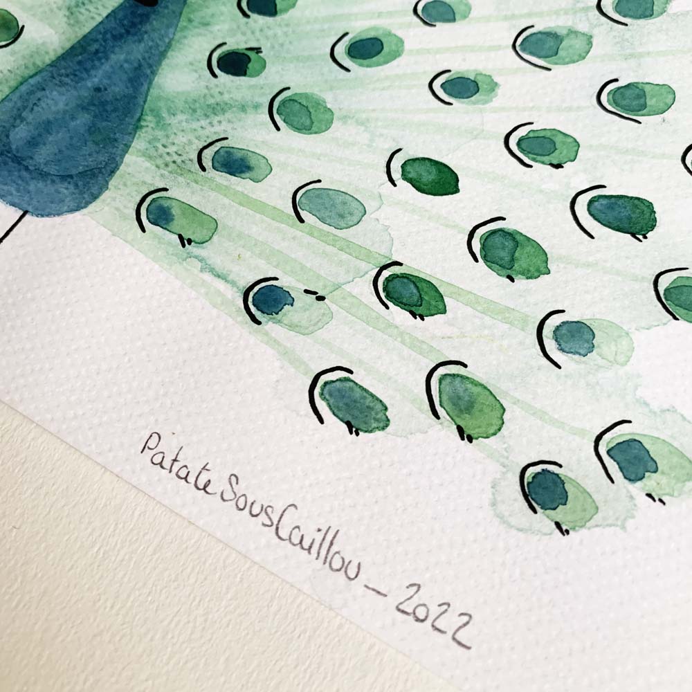 Paon vert - original