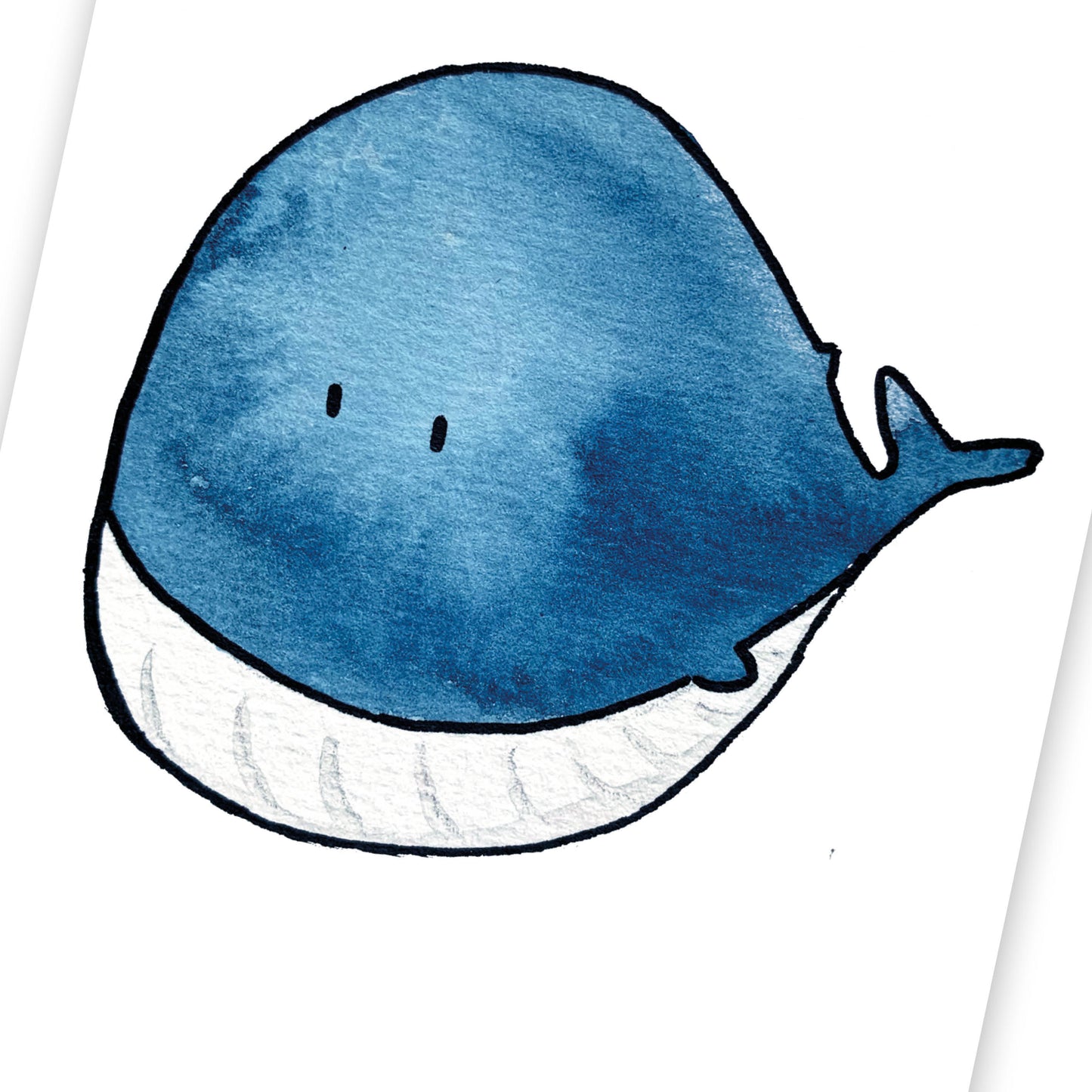 Baleine