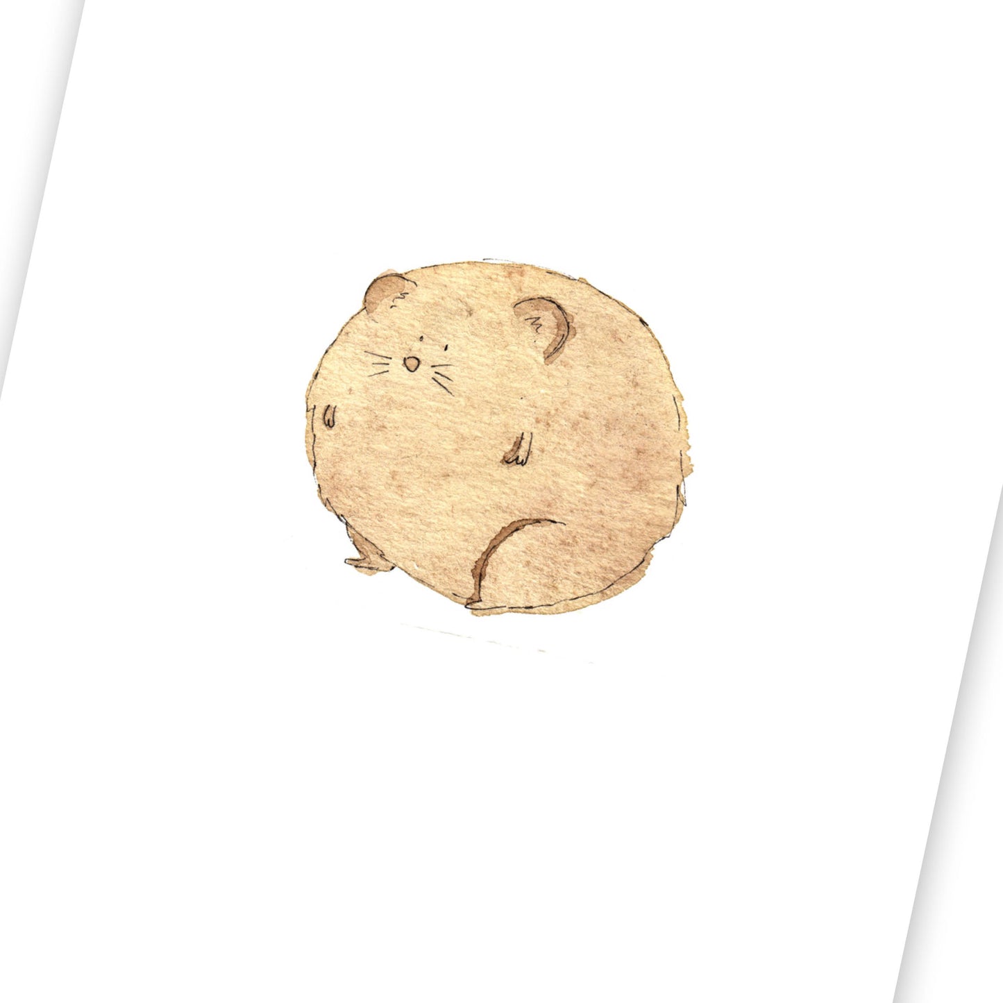 Hamster (fin de série)