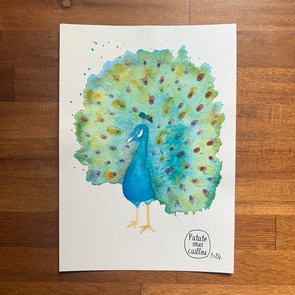 Paon du mois de mai 2024 - original