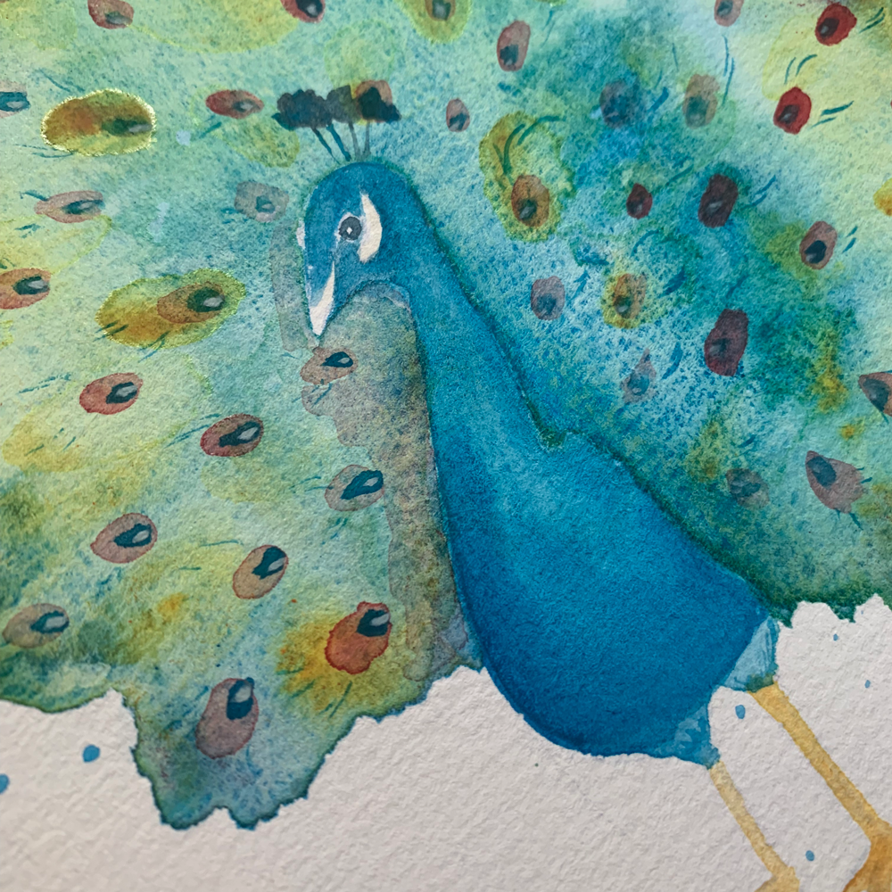 Paon du mois de mai 2024 - original