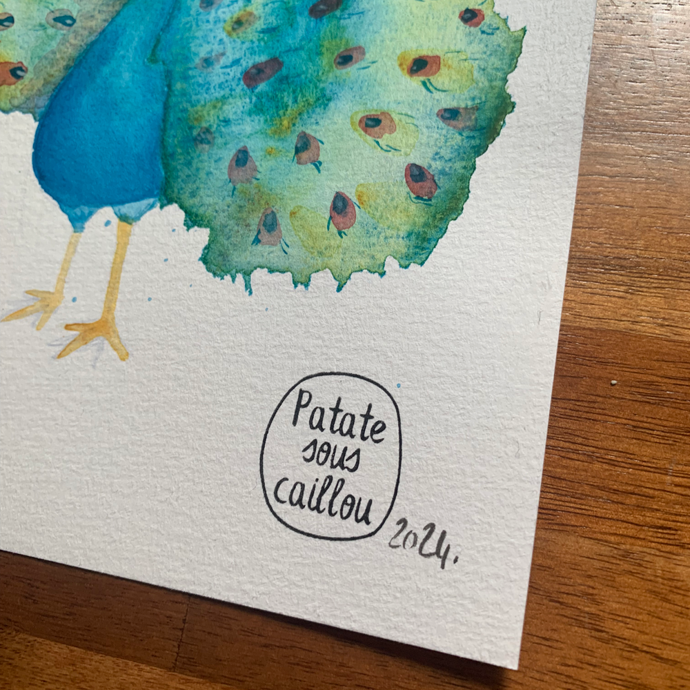 Paon du mois de mai 2024 - original